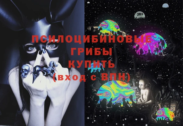 гидра Кукмор