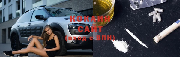 PSILOCYBIN Кулебаки
