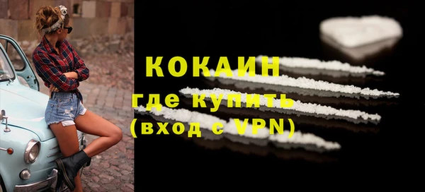 PSILOCYBIN Кулебаки