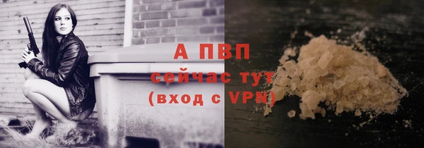 гидра Кукмор