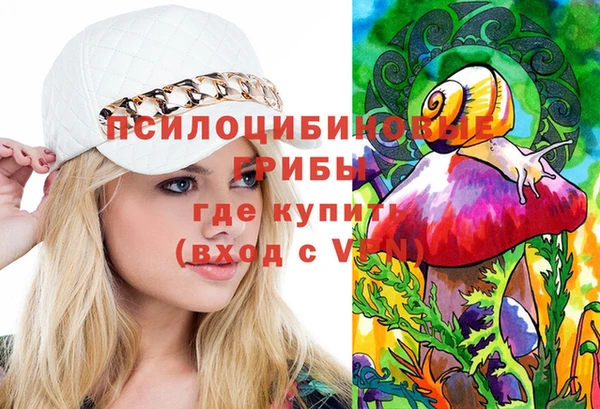 гидра Кукмор