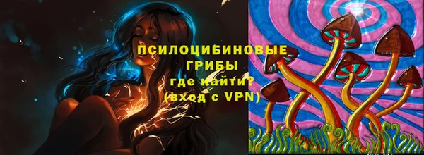 PSILOCYBIN Кулебаки